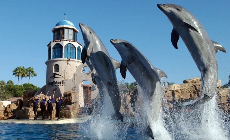 Holiday Inn San Antonio Northwest- Seaworld Area By Ihg Eksteriør billede